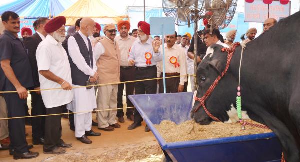 Vice Chancellor and Chief guest visited the stalls in Pashu Palan Mela on 20-09-2018